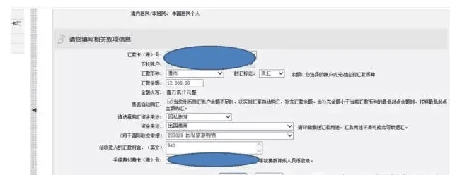 购汇及资金用途
